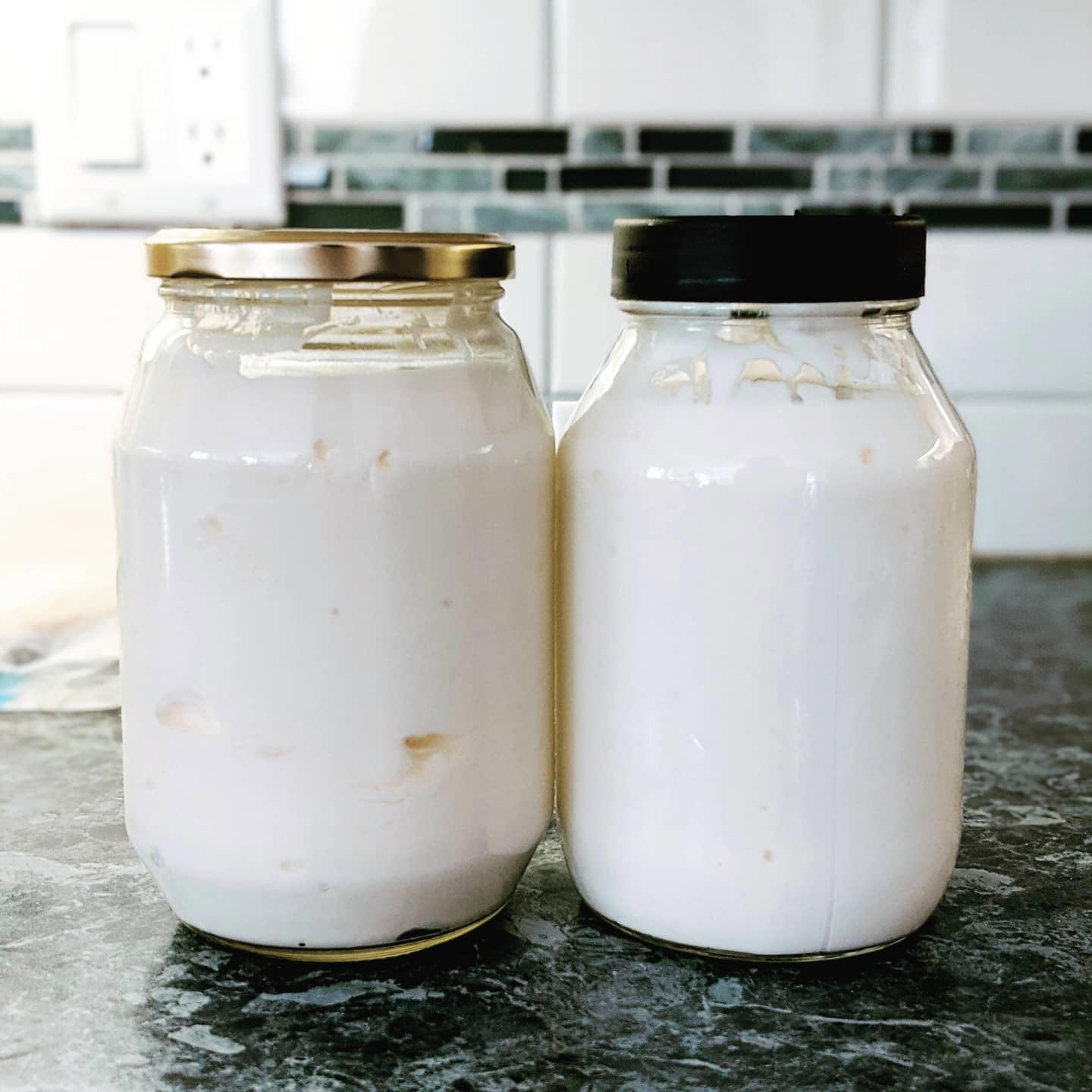 Yogourt fait maison